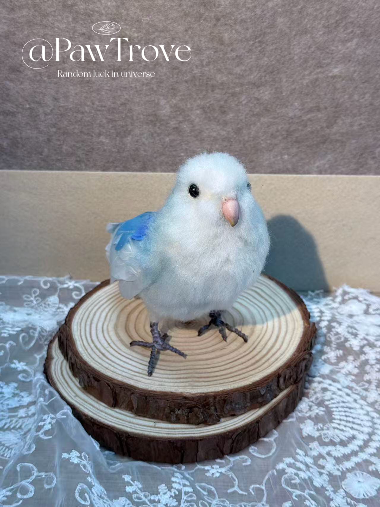 Beyond Toys: Why Custom Pet Replicas Are Becoming Everyday Objects in Modern Homes