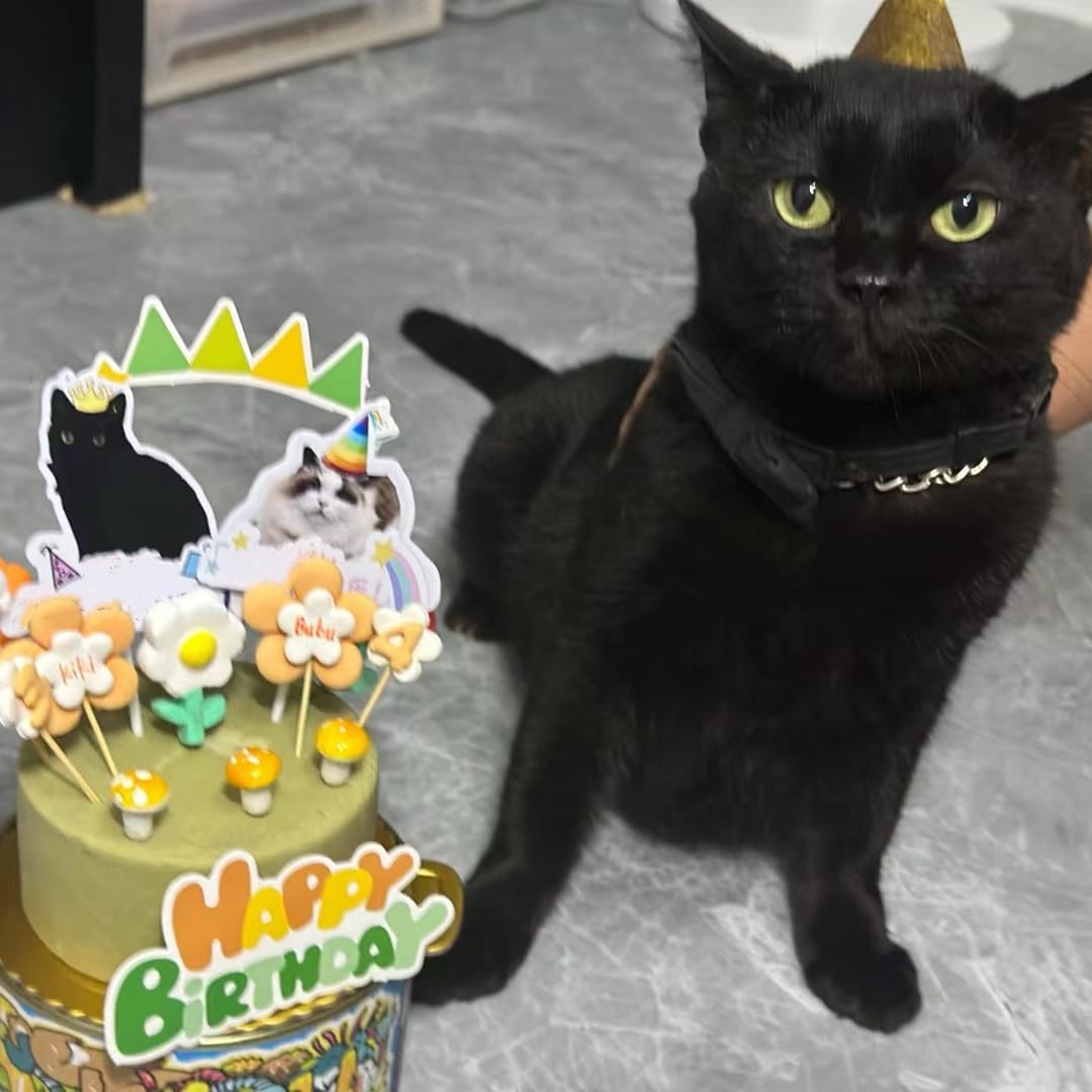 The first wool friend was made for my beloved cat