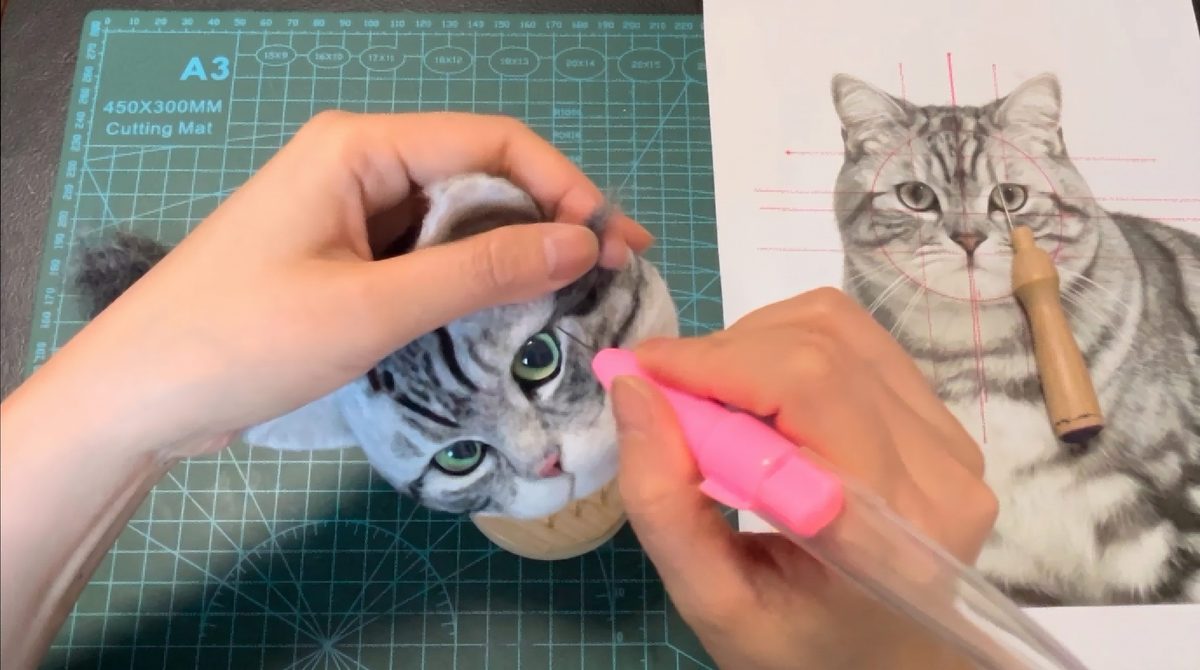 Needle felted pet eyes nose mouth and ears