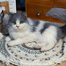 Oliver | 2011–2026