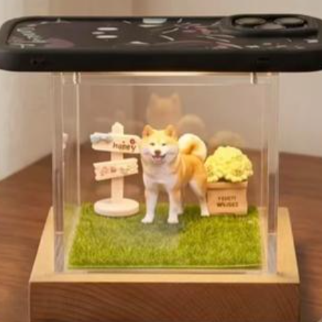 Pet hologram display box