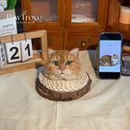 Cat Ornaments Felted pet replica - Personalized Cat Ornaments
