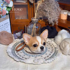 Dog Ornaments Felted pet replica - Personalized Dog Ornaments