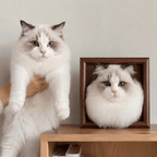 Felted Cat Portrait Needle felting pet replica - Framed Felted Pet Portrait