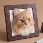 Felted Cat Portrait Needle felting pet replica - Framed Felted Pet Portrait