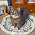 Full Body Figurine Needle felting pet replica - Full Body Figurine
