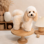 Full Body Figurine Needle felting pet replica - Full Body Figurine