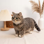 Full Body Figurine Needle felting pet replica - Full Body Figurine
