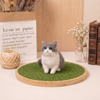 Mini Figurine Needle felting pet replica - Mini Figurine