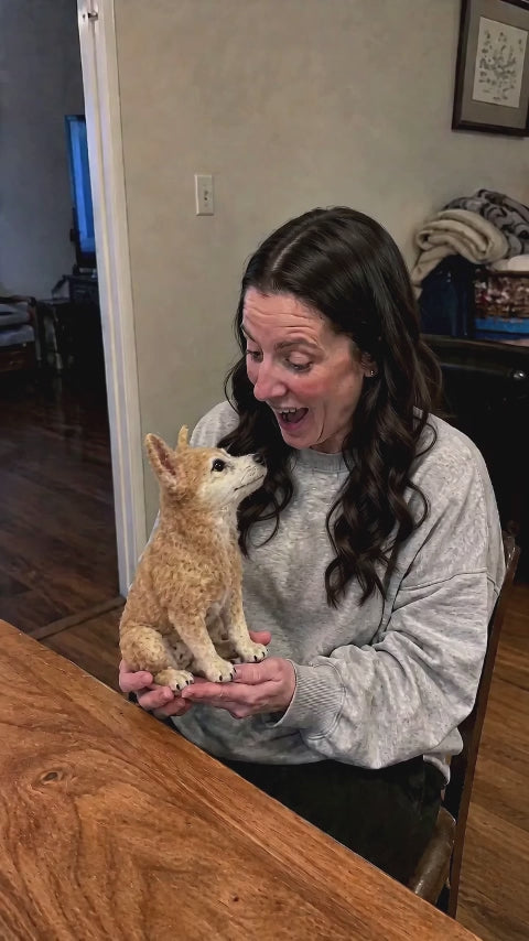 customer-receive-wool-felt-pet-replicas