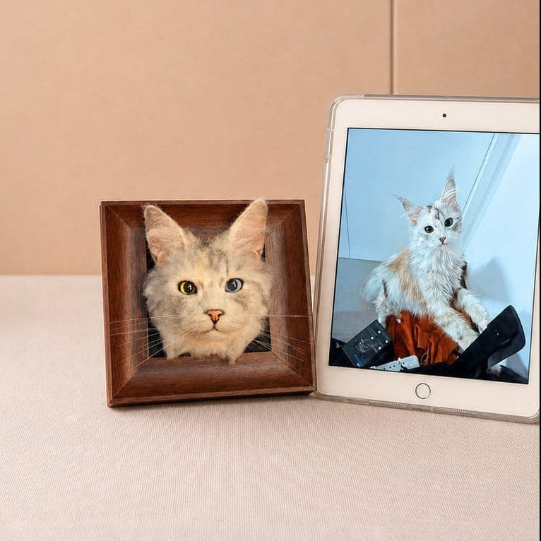 wool_felt_cat_portrait_banner1